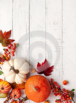 Festive autumn decor from pumpkins, berries and leaves on a white  wooden background. Concept of Thanksgiving day or Halloween.