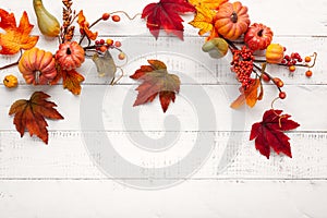 Festive autumn decor from pumpkins, berries and leaves on a white  wooden background. Concept of Thanksgiving day or Halloween.