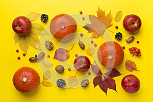 Festive autumn flat lay with pumpkins, berries and leaves on color background, top view