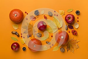 Festive autumn flat lay with pumpkins, berries and leaves on color background, top view