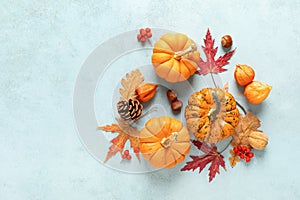 Festive autumn pumpkins decor with fall leaves, berries, nuts on blue background. Thanksgiving day or halloween holiday, harvest