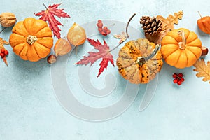 Festive autumn pumpkins decor with fall leaves, berries, nuts on blue background. Thanksgiving day or halloween holiday, harvest