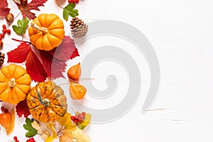 Festive autumn pumpkins decor with fall leaves, berries, nuts on white background. Thanksgiving day or halloween holiday, harvest