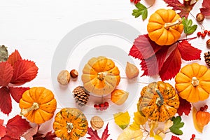 Festive autumn pumpkins decor with fall leaves, berries, nuts on white background. Thanksgiving day or halloween holiday, harvest