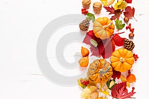 Slávnostné jeseň tekvica výzdoba pokles listy bobule orechy na bielom. vďakyvzdanie alebo dovolenka úroda 