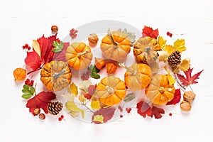 Festive autumn pumpkins decor with fall leaves, berries, nuts on white background. Thanksgiving day or halloween holiday, harvest