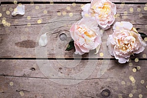 Festive background with pink peonies flowers on aged wooden tab