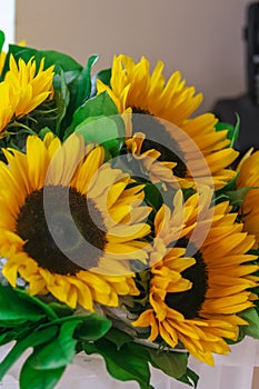 Festive bouquet of sunflowers on the window. Happy birthday to you.