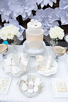 Festive cake table display