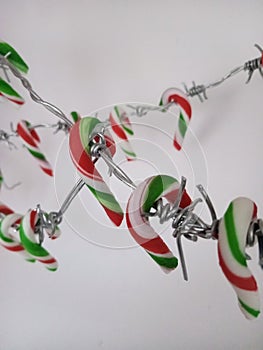 Festive candycanes hanging on barbed wire