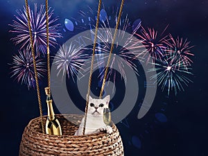 Festive card with white cat and fireworks