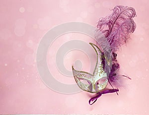 Festive Carnival Background with masks with feathers and copy sp