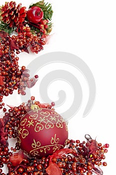 Festive christmas berries