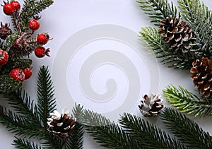 Festive Christmas card mockup with green spruce branches  cones and red berries on white background