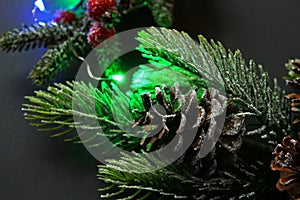 Festive Christmas composition of snowy green spruce branches  cones  red berries. Led multicolored garland