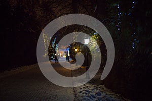 Festive Christmas lights of the evening city Park.