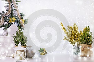 festive Christmas New Year background, banner for photo shoots from small trees decorated with balls in rustic bags,golden
