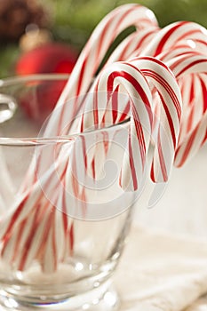 Festive Christmas Peppermint Candy Cane