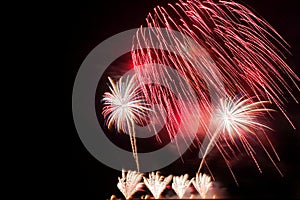 Festive colorful fireworks on night sky background. Celebratory holiday