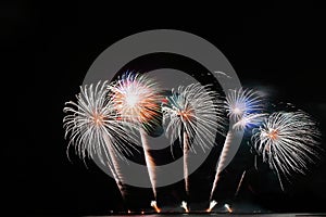 Festive colorful fireworks on night sky background. Celebratory holiday