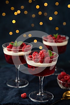 Festive dessert with berry jelly, vanilla panna cota and fresh raspberry