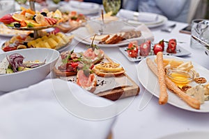 Festive dishes with canape and fruit cut, baguette, honey, salmon and vegetables. White table cloth and napkins.