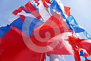 Festive flags of red blue and white color