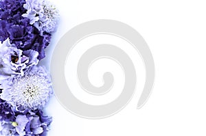 Festive floral arrangement in purple tones. Delicate purple and blue flowers on a white background.