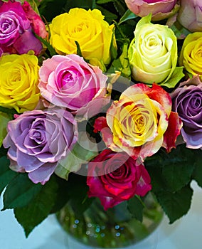 Festive floral background.bouquet of colorful roses