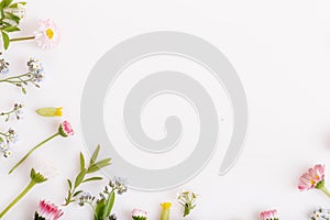 Festive flower composition on the white background. Overhead view