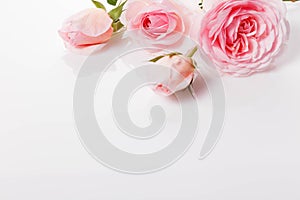 Festive flower pink rose composition on white background. Overhead view, flat lay, bouquet