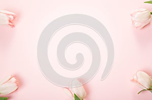 Flowers composition. Frame made of pink flowers on white background. Valentine& x27;s Day. Flat lay, top view.