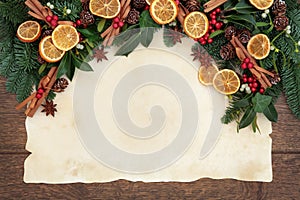 Festive Fruit Border