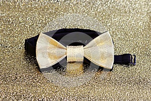 A festive golden with a black bow tie on a gold background.