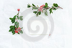 Festive greeting card, invitation card mockup. Christmas composition with branches of red berries, blank paper card on white