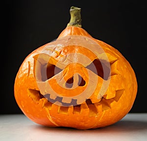 Festive halloween pumpkin on dark background