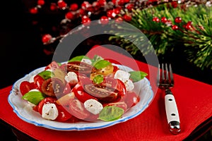 Festive healthy salad for New Year or Christmas dinner