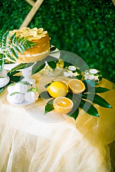 A festive kandi bar decorated in a tropical style with lemon cake muffins and marshmallows and bright balloons