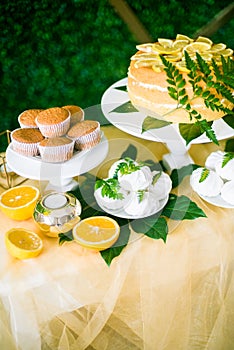 A festive kandi bar decorated in a tropical style with lemon cake muffins and marshmallows and bright balloons