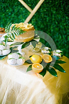 A festive kandi bar decorated in a tropical style with lemon cake muffins and marshmallows and bright balloons