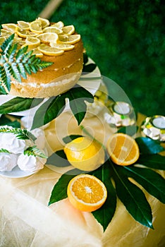 A festive kandi bar decorated in a tropical style with lemon cake muffins and marshmallows and bright balloons