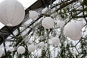 Festive lighting paper lanterns