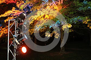 Festive Lights at the Nara festival Australia