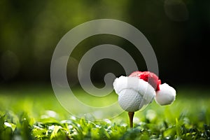 Festive-looking golf ball on tee with Santa Claus` hat