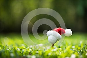 Festive-looking golf ball on tee with Santa Claus` hat