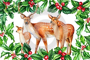Festive poster with deer and mistletoe, holly Watercolor illustration, floral design