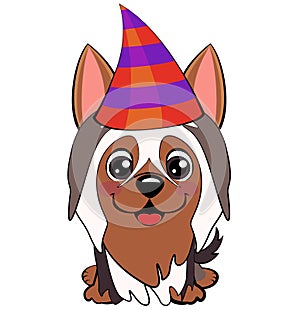 Festive poster. Puppy in a Party hat. Vector illustration.