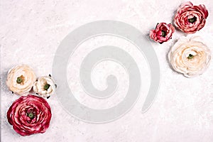 Festive romantic background with peony flowers on light marble. Floral frame top down composition with copy space for text