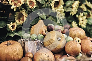 Festive rustic composition with fresh bright pumpkins, sunflowers and fruit