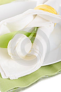 Festive servering of plates, napkins and white tulip
